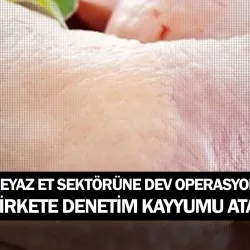Beyaz et sektörüne dev operasyon! 13 şirkete denetim kayyumu atandı