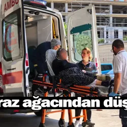 Kiraz ağacından düştü!