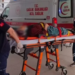 Kiraz ağacından düştü!