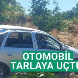 İnegöl'de otomobil tarlaya uçtu!