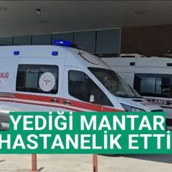 Yediği mantar hastanelik etti