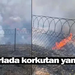 Tarlada korkutan yangın