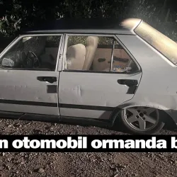 Çalınan otomobil ormanda bulundu