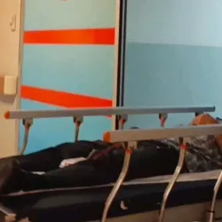İnegöl'de kiraz toplarken hastanelik oldu