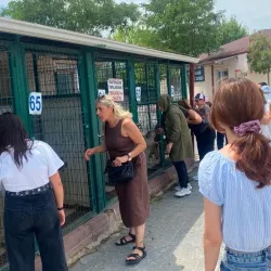 "Satın Almayın, Sahiplenin" Çağrısı