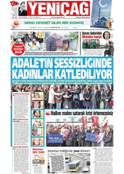 Türkiye'de Yeni Çağ