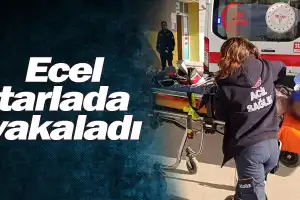 Ecel tarlada yakaladı