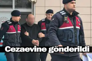 Cezaevine gönderildi