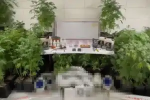 jandarmadan zehir tacirine operasyon!