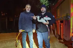 İtfaiyeden leylek kurtarma operasyonu