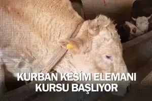 İnegöl’de Kurban Kesim Elemanı Kursu Başlıyor
