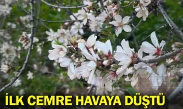 İlk cemre havaya düştü
