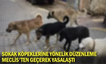 Sokak köpeklerine yönelik düzenleme Meclis'ten geçerek yasalaştı