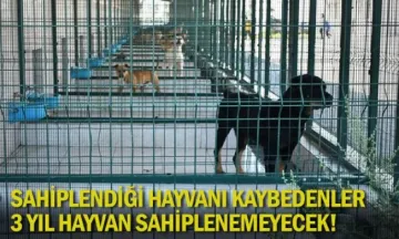 Sahiplendiği hayvanı kaybedenler 3 yıl hayvan sahiplenemeyecek!