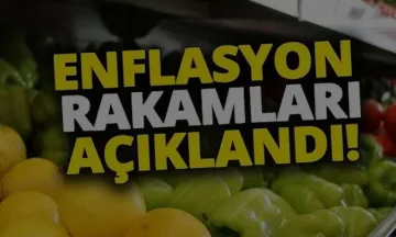 Enflasyon rakamları açıklandı