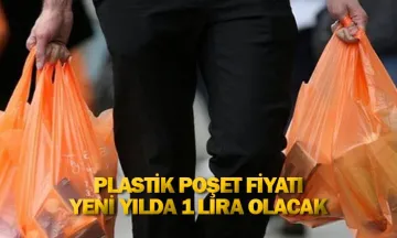Plastik poşet fiyatı yeni yılda 1 lira olacak