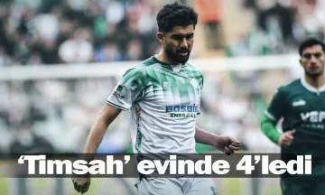 'Timsah' evinde 4'ledi