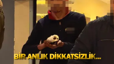Bir anlık dikkatsizlik...