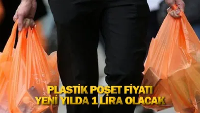 Plastik poşet fiyatı yeni yılda 1 lira olacak
