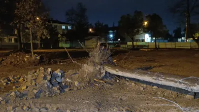 İnegöl'de devrilen ağaç paniğe neden oldu