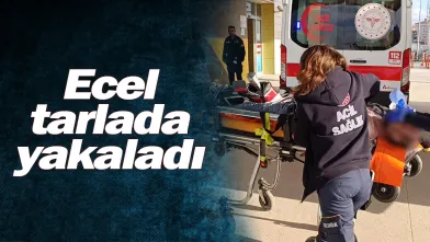 Ecel tarlada yakaladı