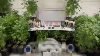 jandarmadan zehir tacirine operasyon!