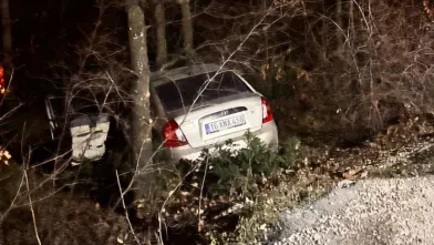 Agaçlık alana uçtu!