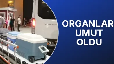Organları umut oldu