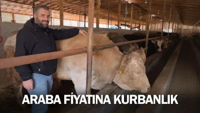 Araba fiyatına kurbanlık