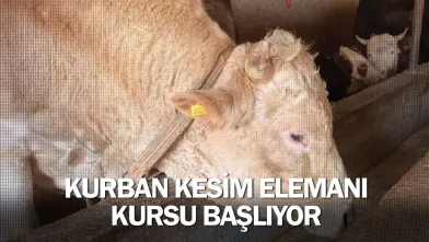 İnegöl’de Kurban Kesim Elemanı Kursu Başlıyor