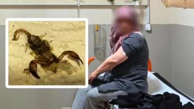 İnegöl'de akrep hastanelik etti!