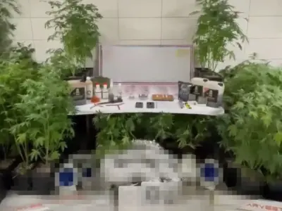 jandarmadan zehir tacirine operasyon!