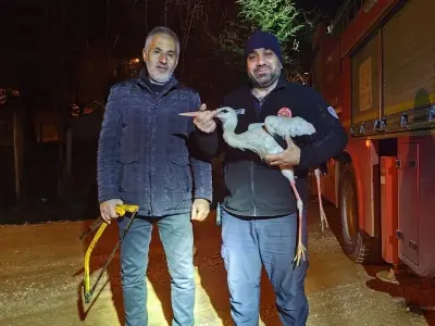 İtfaiyeden leylek kurtarma operasyonu