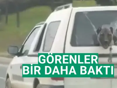 Görenler bir daha baktı