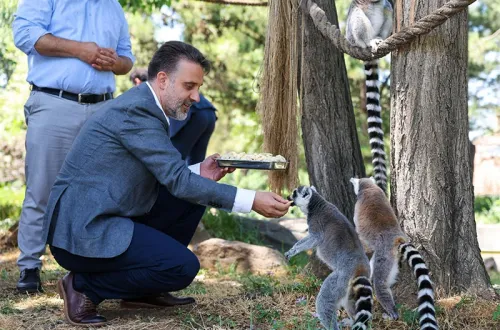 Başkan Vekili Biba’dan Hayvanat Bahçesi’ne ziyaret