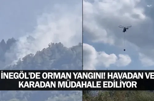 İnegöl'de orman yangını! Havadan ve karadan müdahale ediliyor