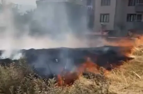 Anız yangını korkuttu!