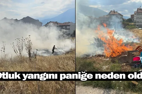 Otluk yangını paniğe neden oldu!