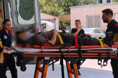 Üzüm toplamak isterken hastanelik oldu!