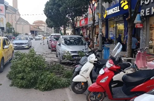 İnegöl'de rüzgar ağacın dalını kırdı