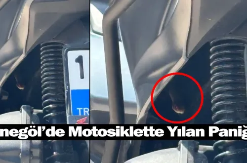 İnegöl’de Motosiklette Yılan Paniği!