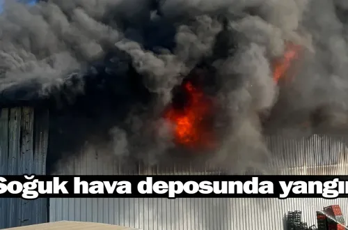 Bursa'da soğuk hava deposunda yangın