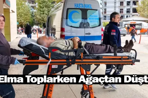Elma Toplarken Ağaçtan Düştü