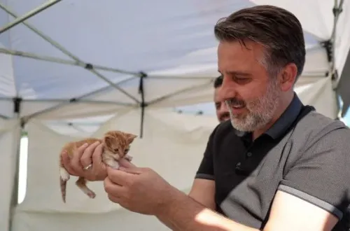 Büyükşehir'den can dostları için yuva seferberliği