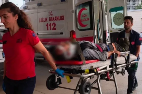 İnegöl'de ceviz ağacından düştü!