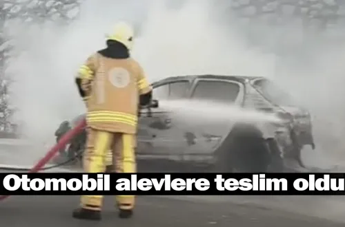 Otomobil alevlere teslim oldu
