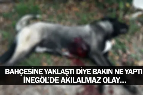 Bahçesine yaklaştı diye bakın ne yaptı! İnegöl’de akılalmaz olay…