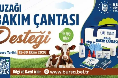 Bursa Büyükşehir'den besicilere önemli destek