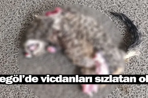 İnegöl'de vicdanları sızlatan olay!