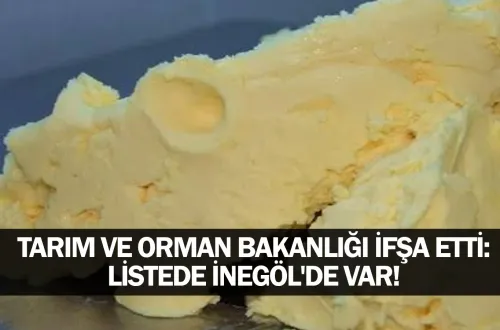 Tarım ve Orman Bakanlığı ifşa etti: Listede İnegöl'de var!